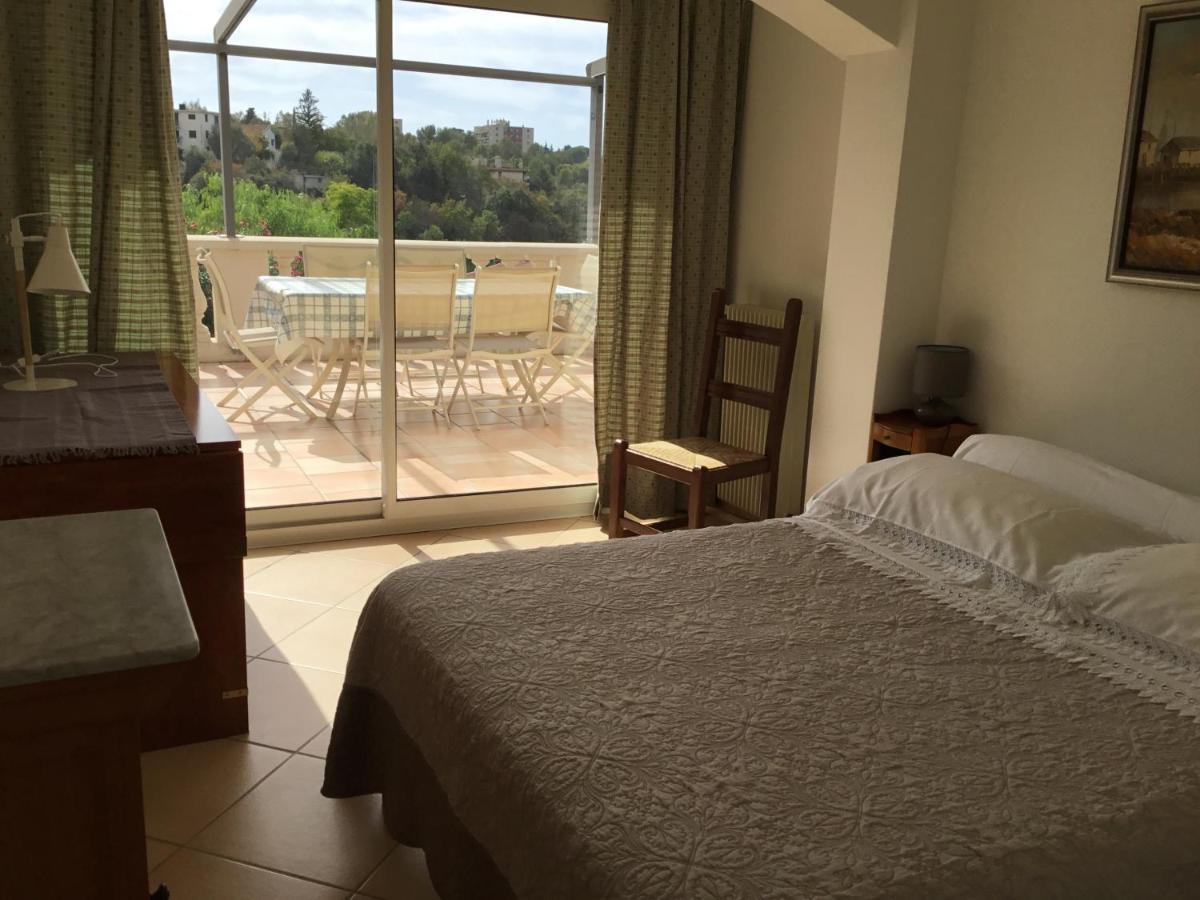 Villa Paradiso, Logement Avec Piscine, Nice Nord Buitenkant foto