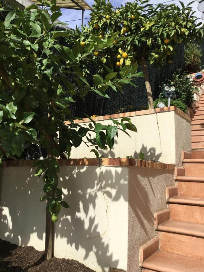 Villa Paradiso, Logement Avec Piscine, Nice Nord Buitenkant foto