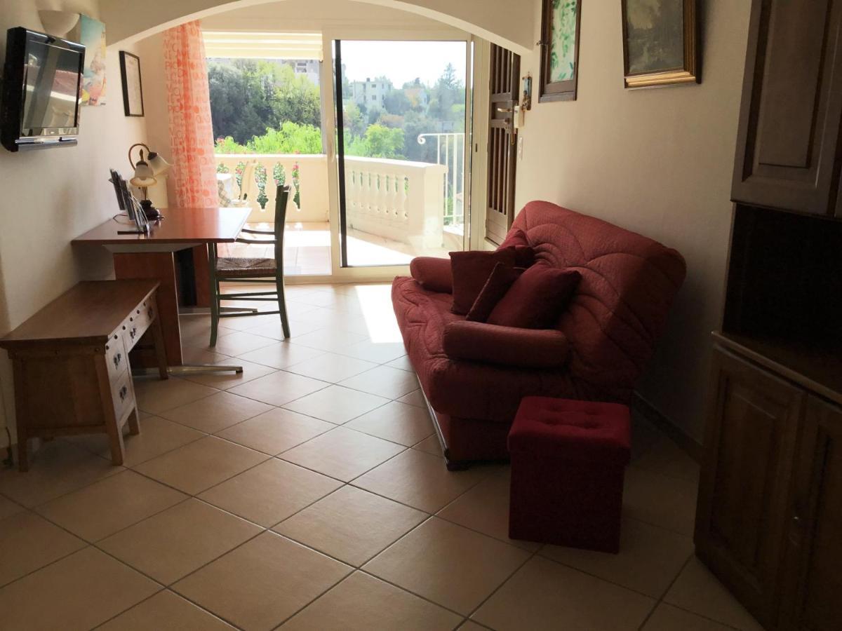 Villa Paradiso, Logement Avec Piscine, Nice Nord Buitenkant foto